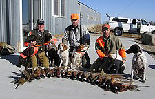 UGUIDE South Dakota Pheasant Hunting