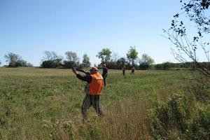 Wildside Pheasants