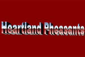 Heartland Pheasants