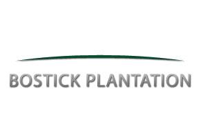 Bostick Plantation