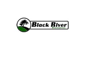 Black River Plantation
