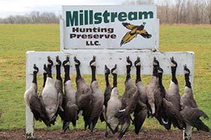Millstream Hunting Preserve LLC