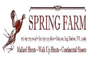 Spring Farm