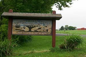 Whispering Pines Hideaway