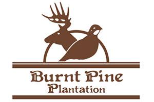 Burnt Pine Plantation