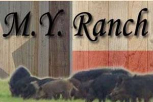 M.Y. Ranch Hunting Preserve