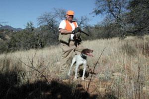 Arizona Covey Breaks
