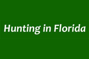 Hunting in Florida