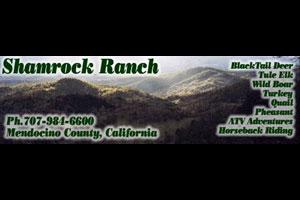 Shamrock Ranch
