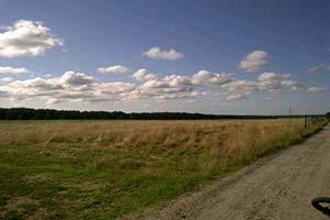 Hunter's Garden Preserve