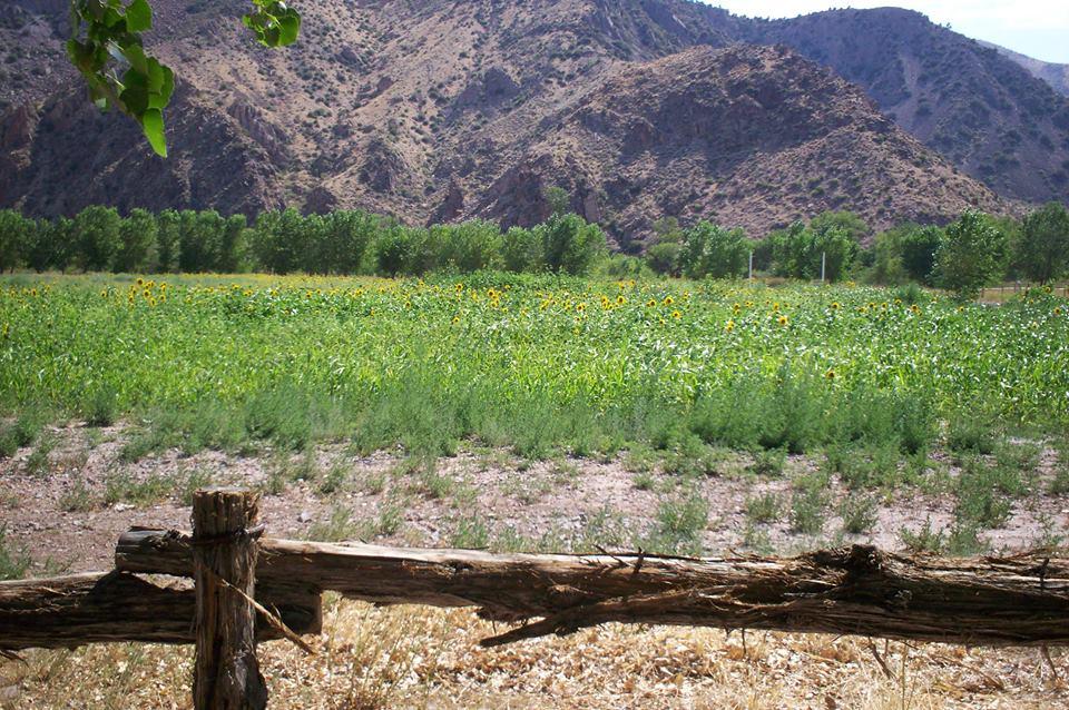 Clover Mountain Ranch