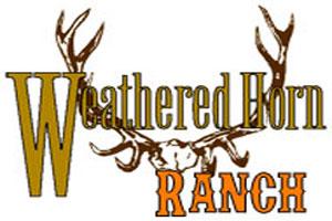 Weathered Horn Outfitters