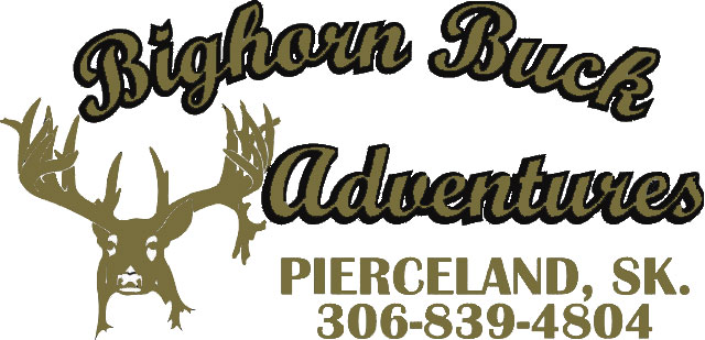 Bighorn Buck Adventures