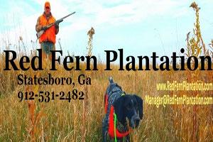 Red Fern Plantation