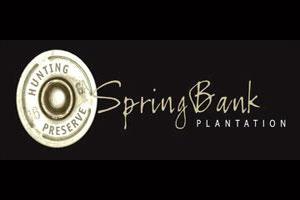 SpringBank Plantation