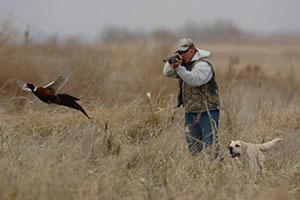 Diamond Ranch Pheasant Hunts LLC