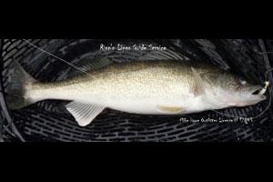Ripp'n Lipps Guide Service Logo
