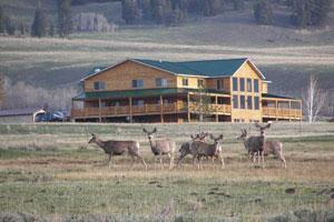 Montana High Country Tours