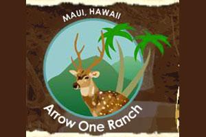 Arrow One Ranch