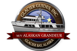 Glacier Guides