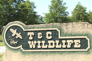 T&C Wildlife