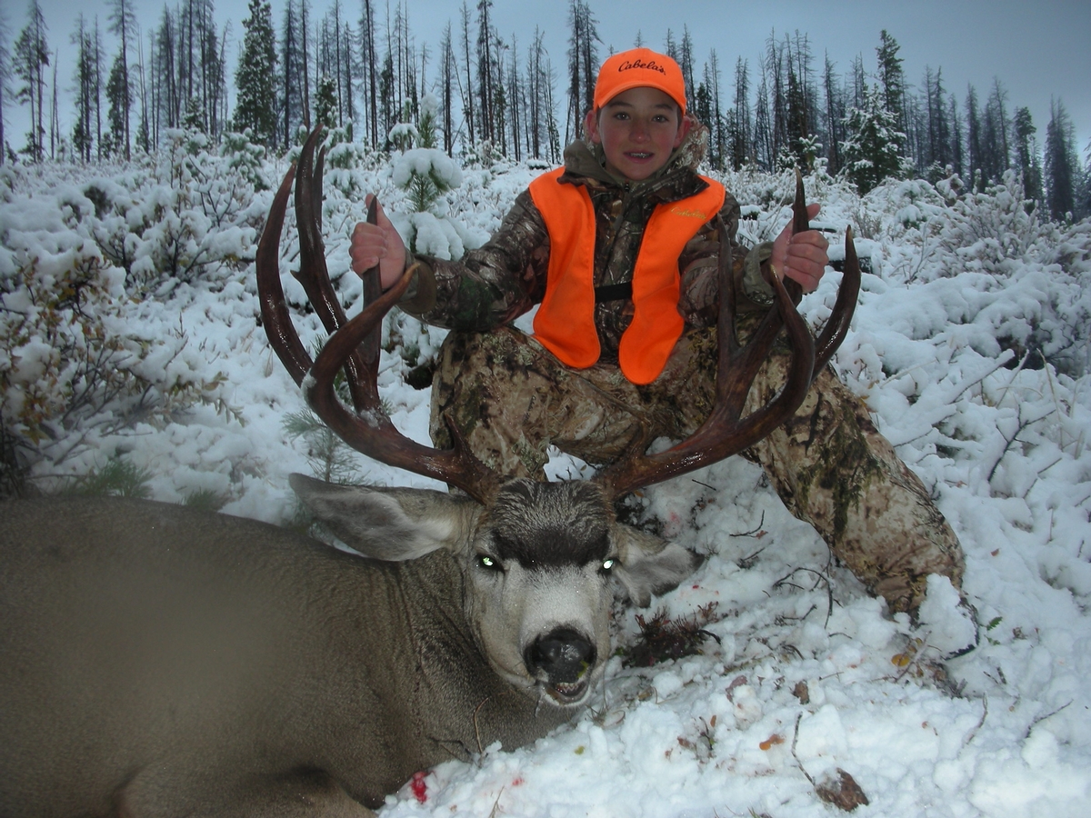 Ivory & Antler Outfitters Rand, Colorado | Ultimate Deer Hunting