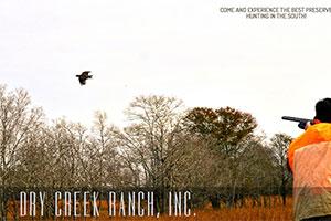 Dry Creek Ranch