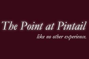 The Point At Pintail