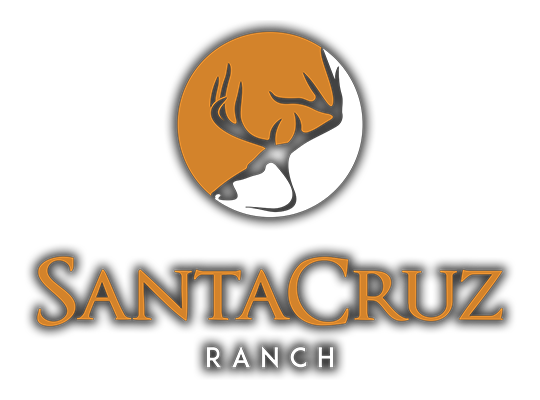 Santa Cruz Ranch South Texas