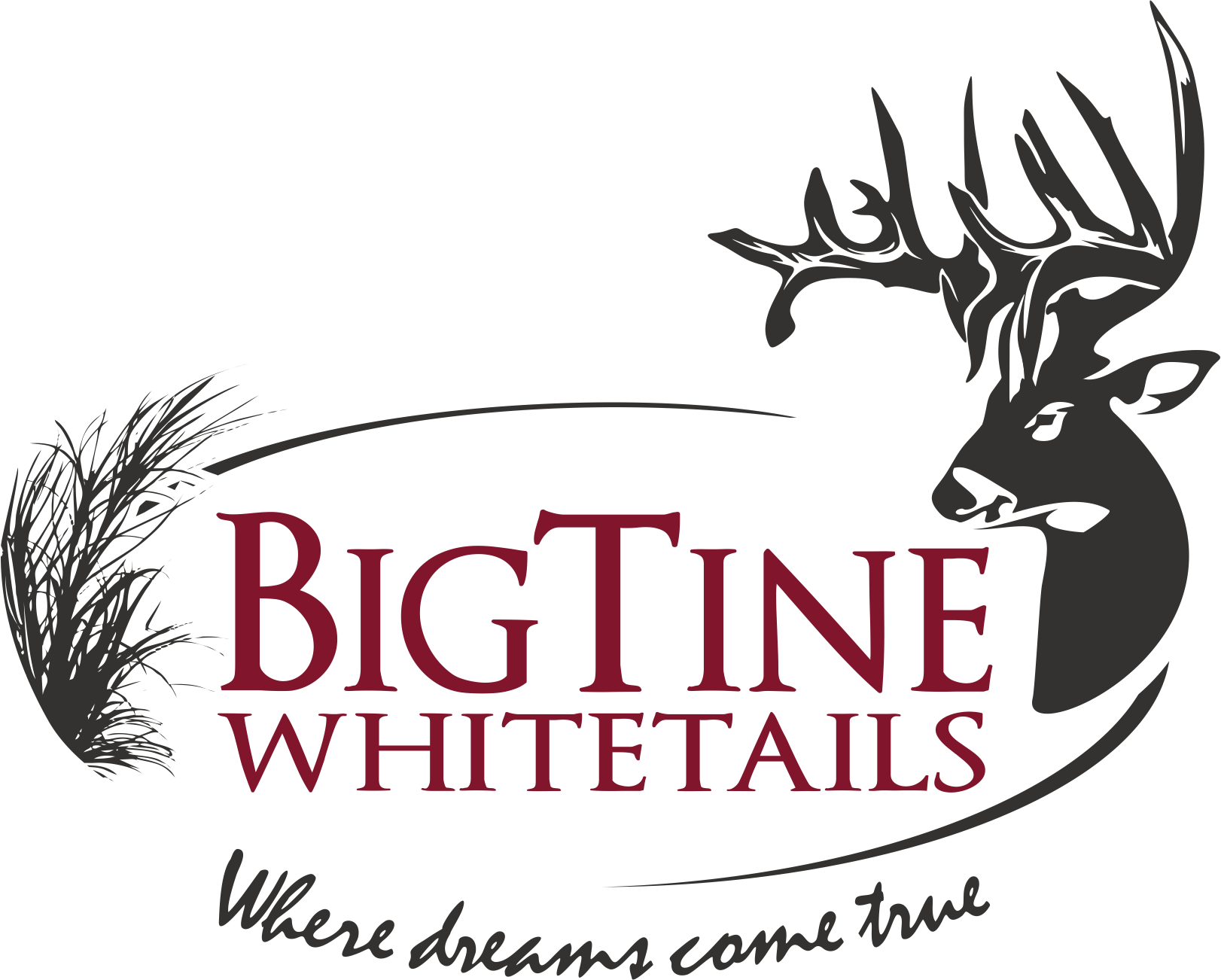 BigTine Whitetails Logo