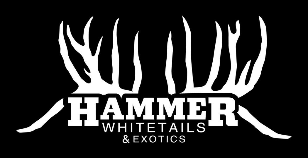 Hammer Whitetails & Exotics