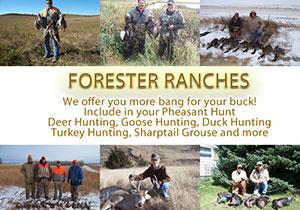 Forester Ranches