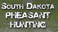 South Dakota Pheasant Hunts