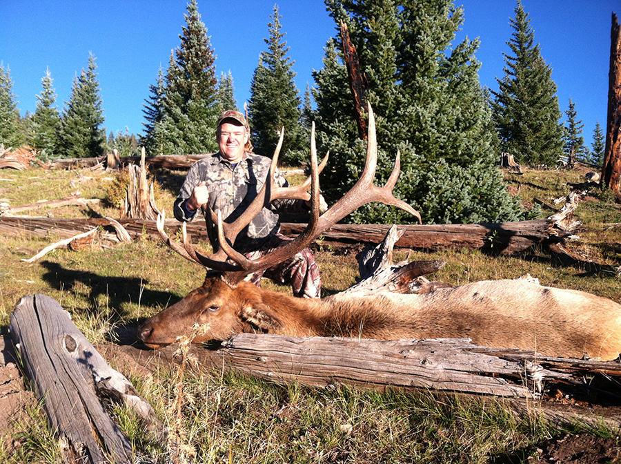 Elk Hunts